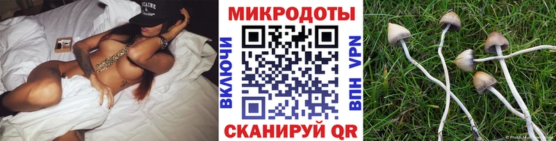 Псилоцибиновые грибы Psilocybine cubensis  Купить закладки  Гудермес 